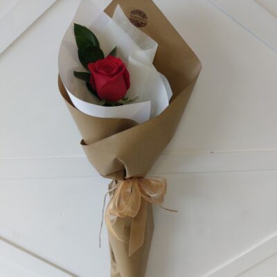 Single Rose